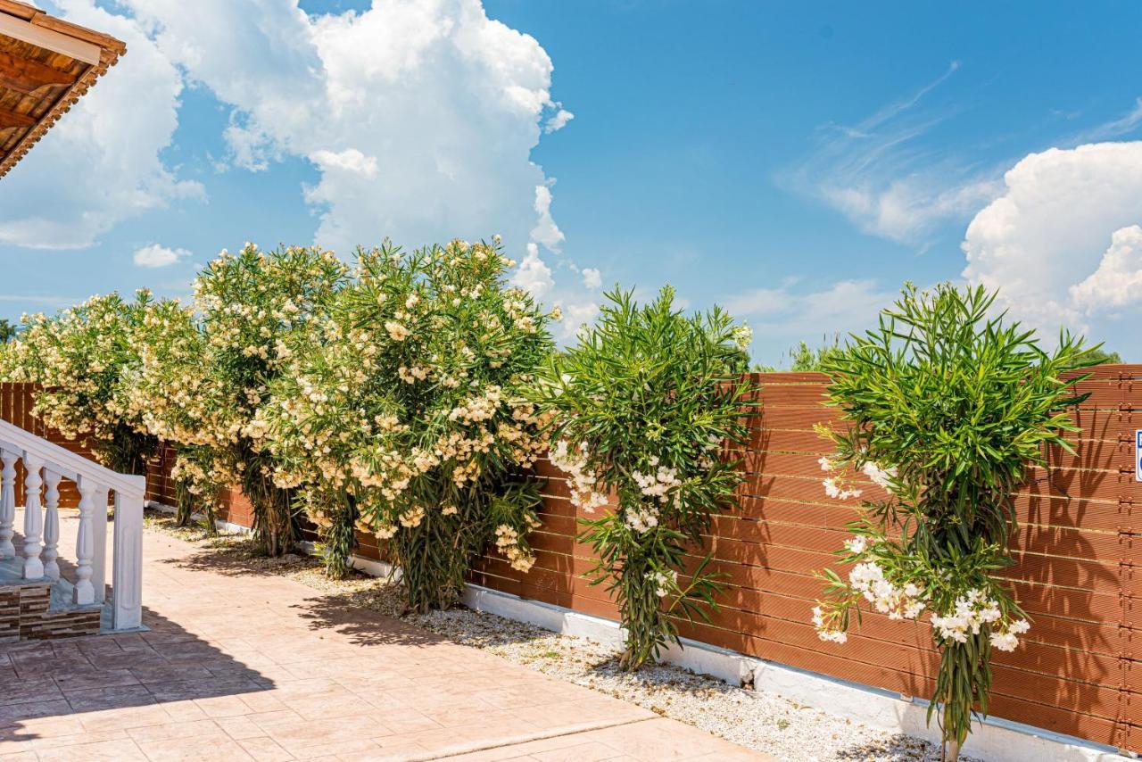 Blossom Villa Laganas Exterior foto